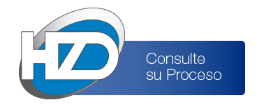 HZD consulte su proceso